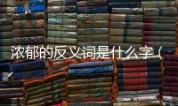 濃郁的反義詞是什么字（濃郁的反義詞是什么）