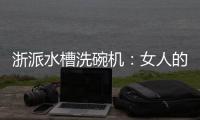 浙派水槽洗碗機：女人的手不是用來洗碗的！讓我來吧