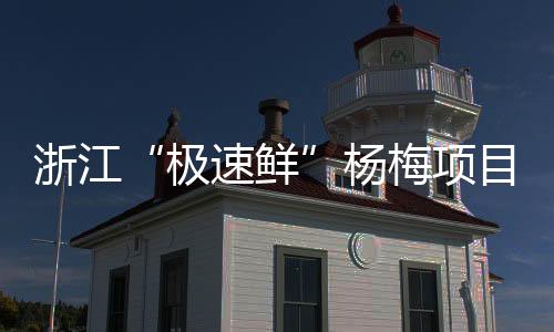 浙江“極速鮮”楊梅項(xiàng)目飄紅