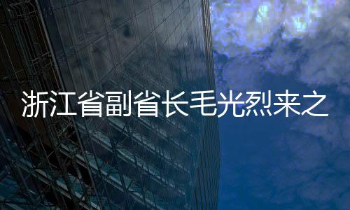 浙江省副省長毛光烈來之江公司考察,企業新聞