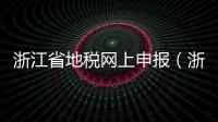 浙江省地稅網上申報（浙江地稅網上申報）