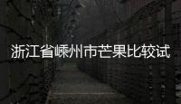 浙江省嵊州市芒果比較試驗出爐