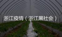浙江疫情（浙江黑社會）