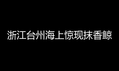 浙江臺州海上驚現抹香鯨尸體 或為此前在象山擱淺的那條
