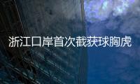 浙江口岸首次截獲球胸虎天牛\部分俄羅斯木材工廠將在2020年下半年關門
