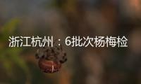 浙江杭州：6批次楊梅檢出甜味劑