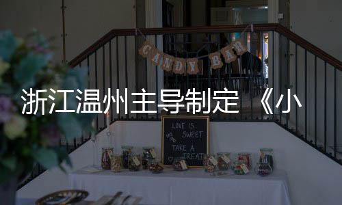 浙江溫州主導制定 《小型游樂設施•轉椅》國家標準發布