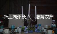 浙江湖州長興：培育農產品商標 助力共同富裕