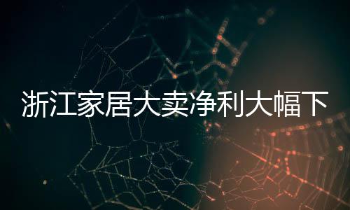 浙江家居大賣凈利大幅下跌92%