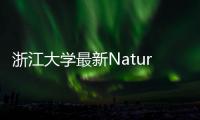 浙江大學最新Nature – 材料牛