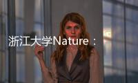 浙江大學Nature：一種全新材料——彈性陶瓷塑料 – 材料牛