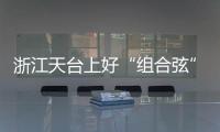 浙江天臺上好“組合弦” 吹響復工復產“集結號”