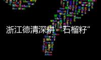 浙江德清深耕“石榴籽”效應 多民族攜手逐共富夢