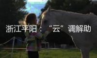 浙江平陽：“云”調解助力消費糾紛高效解決