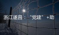 浙江遂昌：“黨建”+助力山水裂變 迸發美麗經濟