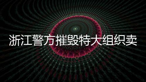 浙江警方摧毀特大組織賣淫集團(tuán)