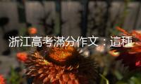 浙江高考滿分作文：這種把佳句當樂高的寫法，說穿了其實什麼都沒講
