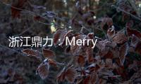 浙江鼎力：Merry Christmas！圣誕快樂！