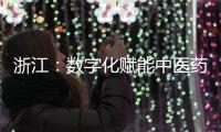 浙江：數(shù)字化賦能中醫(yī)藥服務(wù) 機(jī)器人開出名老中醫(yī)特色處方