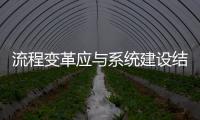 流程變革應與系統建設結合