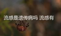 流感是遺傳病嗎 流感有不發燒的嗎