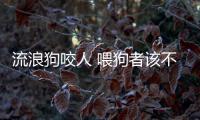 流浪狗咬人 喂狗者該不該“背鍋”