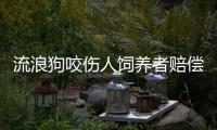流浪狗咬傷人飼養者賠償1600元