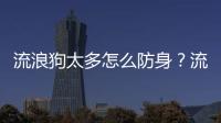 流浪狗太多怎么防身？流浪狗太多怎么防疫