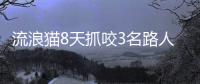 流浪貓8天抓咬3名路人投喂者被起訴