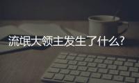 流氓大領(lǐng)主發(fā)生了什么?