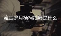 流金歲月楊柯結(jié)局是什么？楊柯扮演者是誰個(gè)人資料介紹