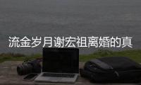 流金歲月謝宏祖離婚的真實(shí)原因 謝宏祖結(jié)局和誰(shuí)在一起了