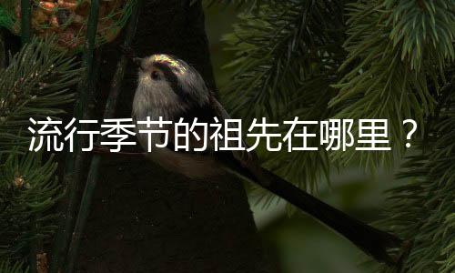 流行季節的祖先在哪里？所有祖先位置的摘要