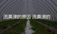 流鼻涕的原因 流鼻涕的中醫原因