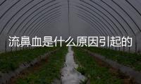 流鼻血是什么原因引起的？快速止血方法大全
