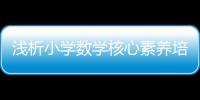 淺析小學數學核心素養培養