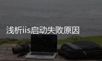 淺析iis啟動失敗原因及解決方案論文，淺析IIS啟動失敗原因及解決方案