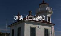 淺談《白鹿原》