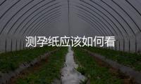測孕紙應該如何看