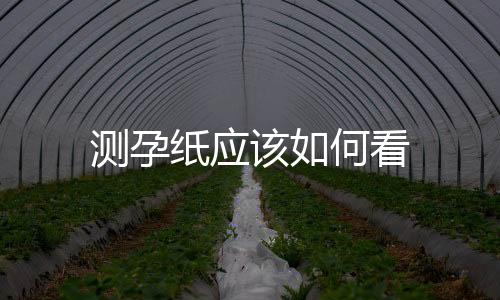 測孕紙應該如何看