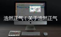 浩然正氣（關于浩然正氣的基本情況說明介紹）
