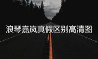 浪琴嘉嵐真假區別高清圖（浪琴真假區別高清圖）