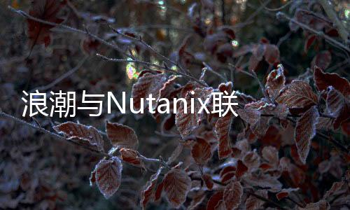 浪潮與Nutanix聯(lián)合發(fā)布全新inMerge超融合一體機