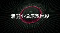 浪漫小說床戲片段