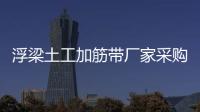 浮梁土工加筋帶廠家采購供應(yīng)