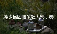 浠水縣團(tuán)陂鎮(zhèn)趕大集，奏響鄉(xiāng)村集市“交響曲”