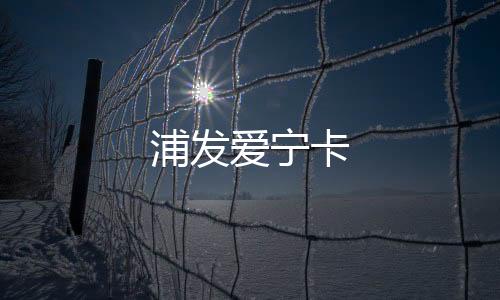 浦發愛寧卡