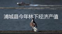 浦城縣今年林下經濟產值有望突破8.5億元
