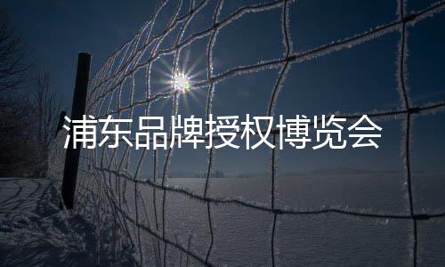 浦東品牌授權博覽會