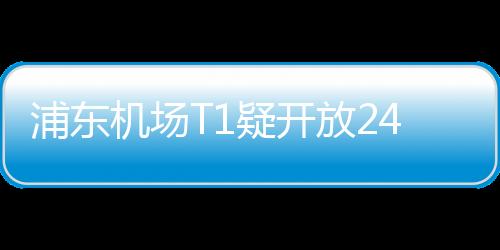 浦東機場T1疑開放24小時安檢 深夜轉機旅客福音